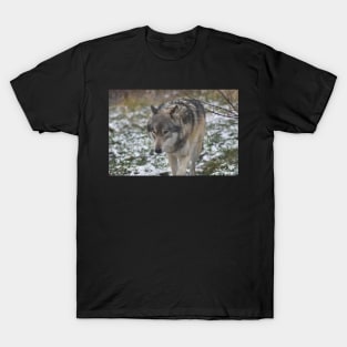 Wolf T-Shirt